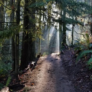 Fundraising Page: Charley Boynton